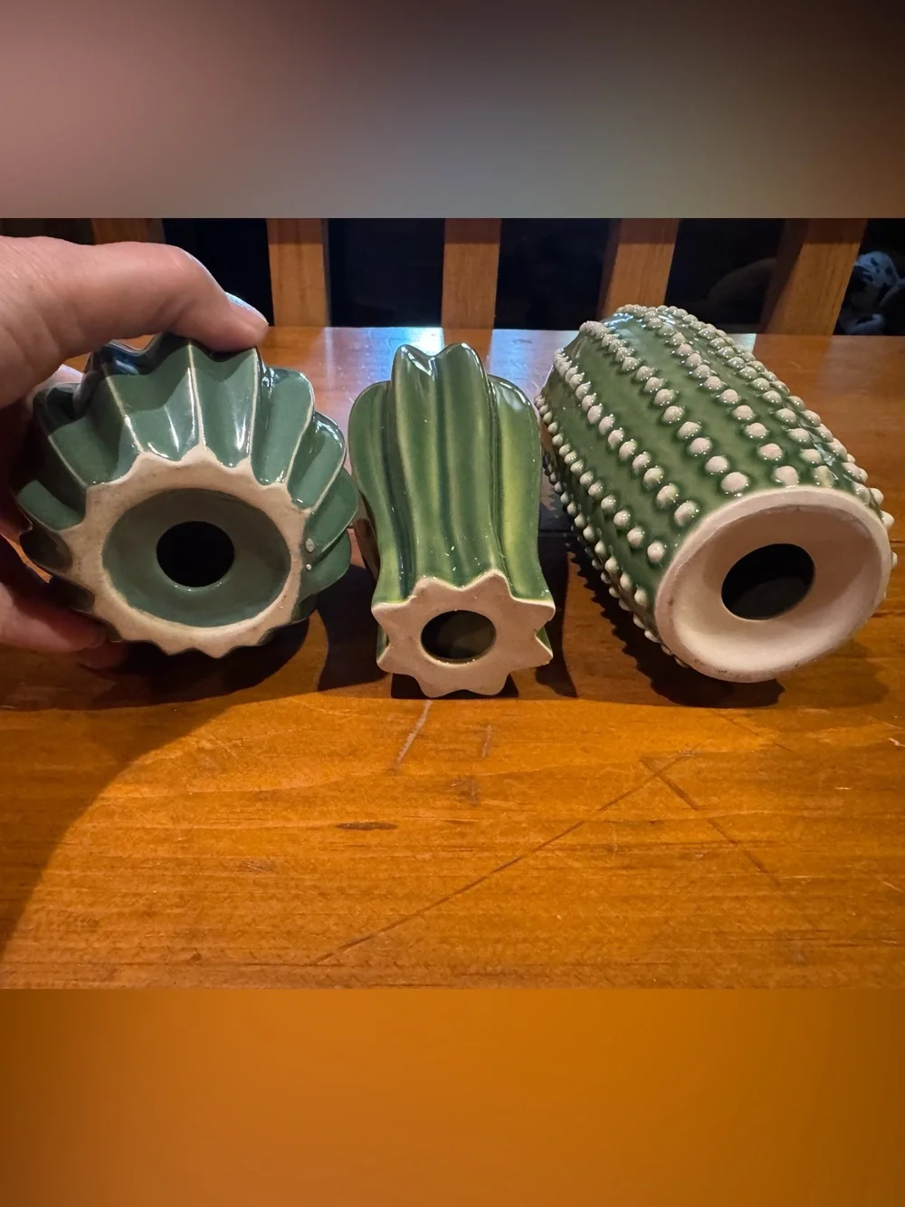 CACTI TRIO